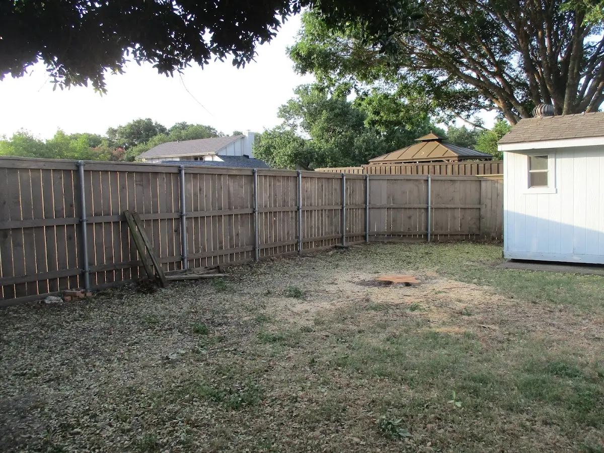 Cleared yard after professional tree removal in Mont Vernon
